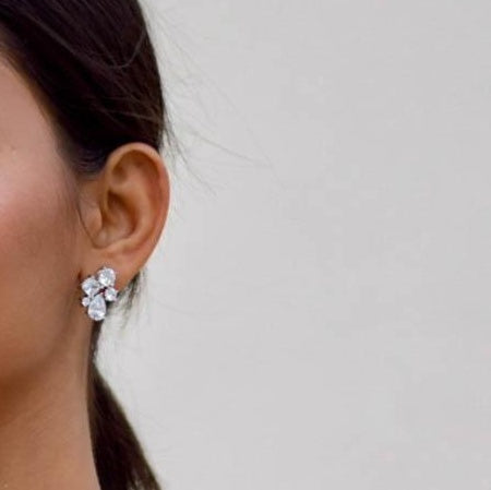 Fancy Earrings