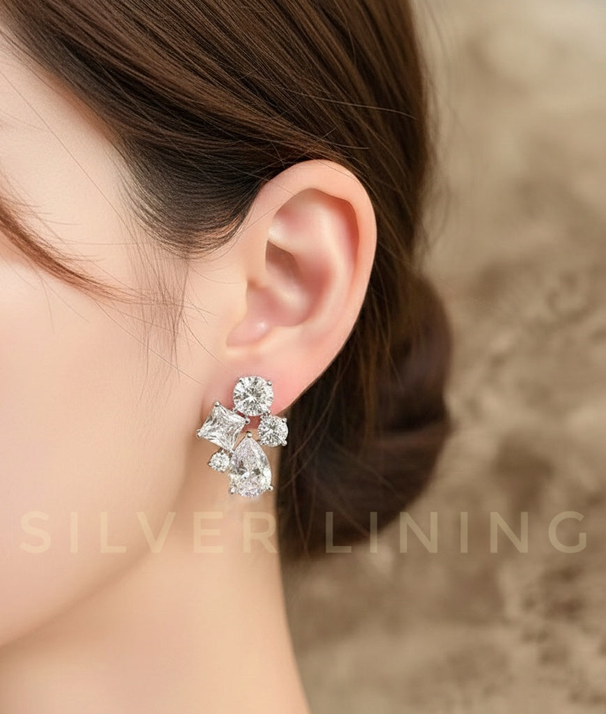 Fancy Earrings