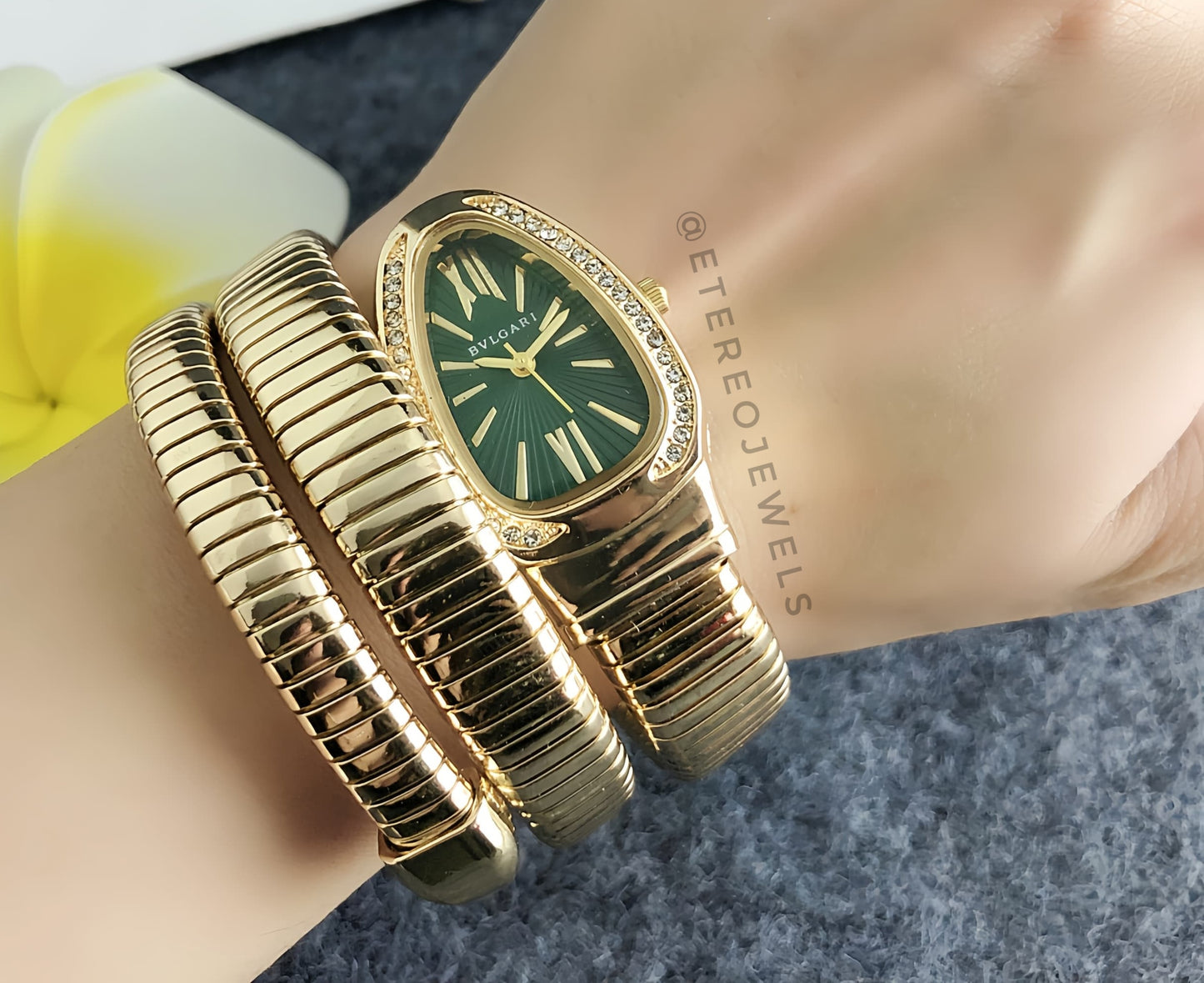Snake Watch Etereo