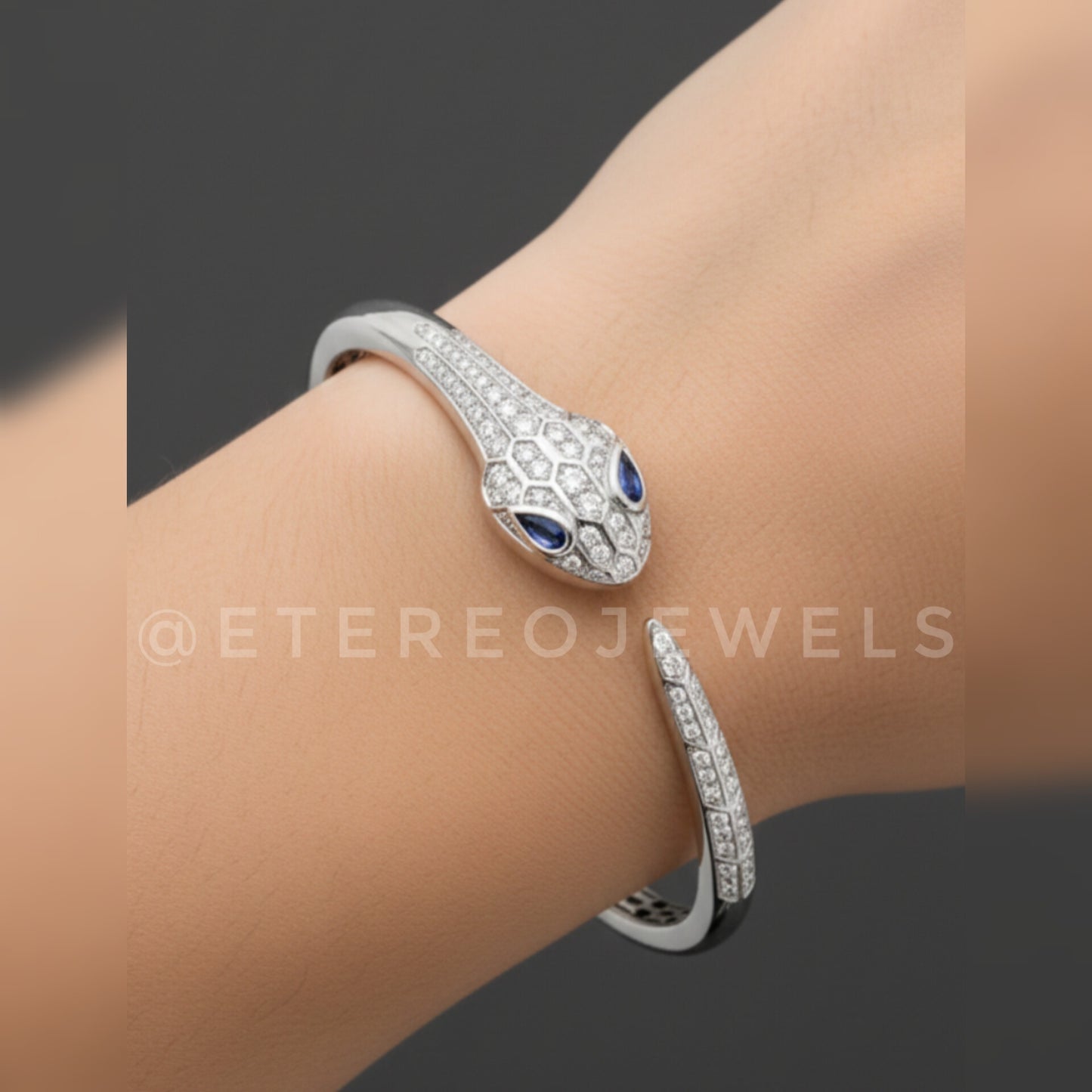 Snake Bracelet Etereo