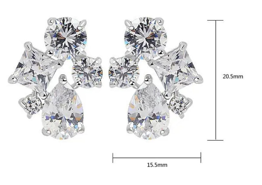 Fancy Earrings